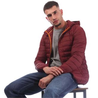 Aquascutum Mens Logo Puffer Jacket (Bordeaux) - Burgundy - Size Small