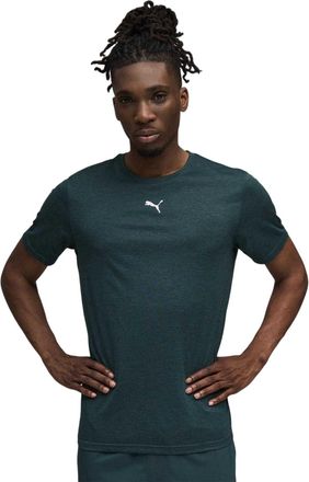 Puma Tad Performance-sport-T-shirt voor heren (Terrein)