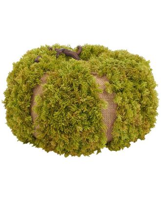Safavieh Faux 15 Moss Pumpkin