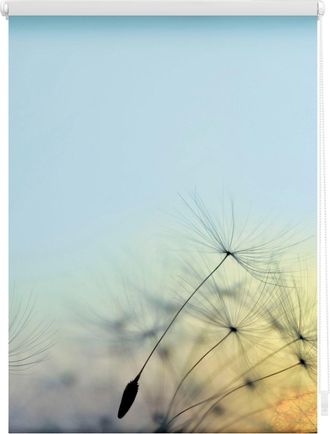 Lichtblick Original Seitenzugrollo »Rollo Klemmfix, ohne Bohren, Verdunkelung, Pusteblume - Blau« verdunkelnd Verdunkelung energiesparend freihängend
