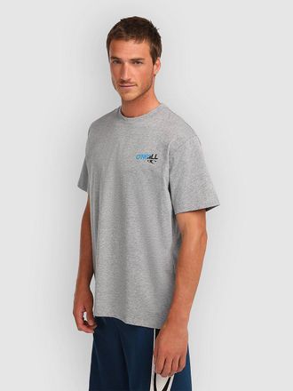 O'Neill Essentials 90S Graphic T-Shirt grigio