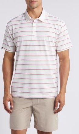 Swannies Cullen Stripe Golf Polo in Vintage White at Nordstrom Rack, Size Xx-Large