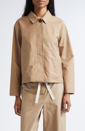 Max Mara Bambola Cotton Blend Twill Trench Jacket in Camel at Nordstrom, Size 14