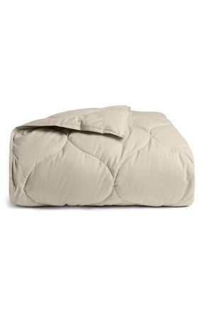 Parachute Cotton Drift Comforter in Bone at Nordstrom, Size Full
