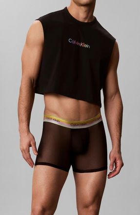 Calvin Klein Pride Sheer Mesh Boxer Briefs in Black at Nordstrom, Size X-Large
