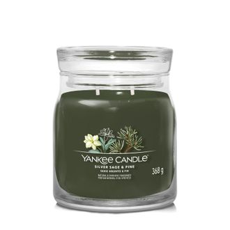 Yankee Candle Company Silver Sage Pine, candela giara media Yankee Candle