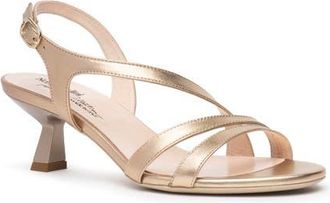 Nero Giardini Slingback Kitten Heel Sandal in Gold at Nordstrom, Size 36