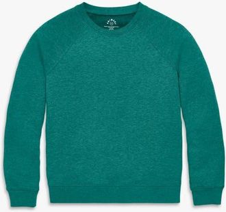 primary Adult Cozy Fleece Sweatshirt in Heather Spruce at Nordstrom, Size Xx-Large