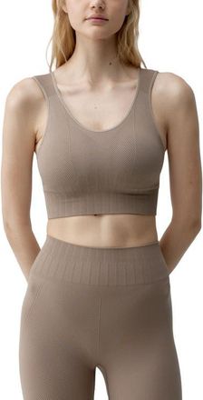 Born Living Yoga Annapurna Medium-Support Seamless Sports Top in Taupe at Nordstrom, Size Small