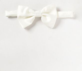 Tagliatore Papillon di seta