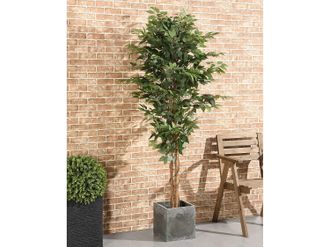 Vente-Unique Albero artificiale ficus con vaso H.180 - VALOPA
