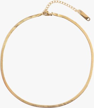 Marrin Costello Womens Ramsey Choker Necklace In Gold