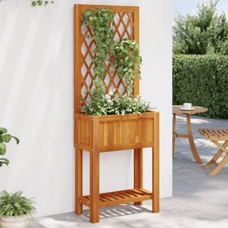 Berkfield Home Planter with Trellis & Shelf 55x29.5x152 cm Solid Wood Acacia in Brown