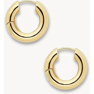 Machete Jewelry Chunky Hoops in Gold at Nordstrom