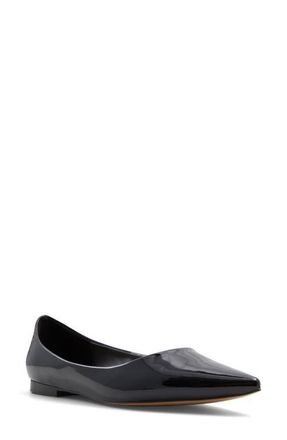 Aldo Stessy Pointed Toe Flat in Black at Nordstrom, Size 6.5