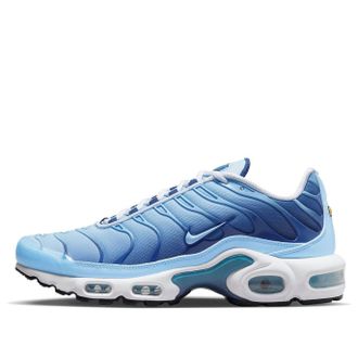 Nike (WMNS) Nike Air Max Plus Celestine Blue FJ4736-400