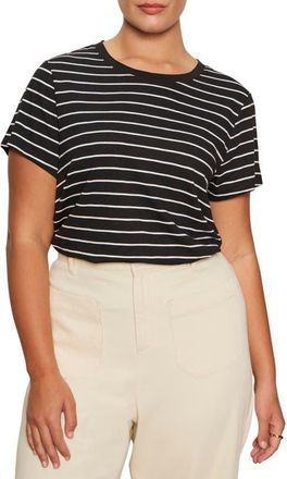 Sanctuary The Perfect T-Shirt in Black at Nordstrom, Size 1X