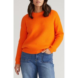 Universal Standard Bruno Stripe Rib Sweater in Icelandic Poppy at Nordstrom, Size Xs