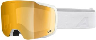 Alpina Taos QV - unisex - Ski Accessoires - Wit - ONE Size - Fitness