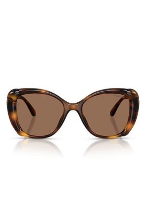 Swarovski 53mm Butterfly Sunglasses in Havana/dark Brown at Nordstrom