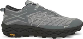 Mizuno Schoenen, Heren, Grijs, 45 EU, Leer, Wave Mujin LS GTX