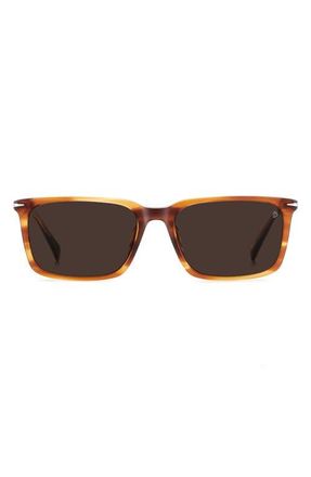 David Beckham 58mm Rectangular Sunglasses in Brown Horn/Brown at Nordstrom
