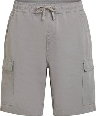 O'Neill Essentials Ripstop Cargo Shorts Shorts f&uuml;r Herren | grau