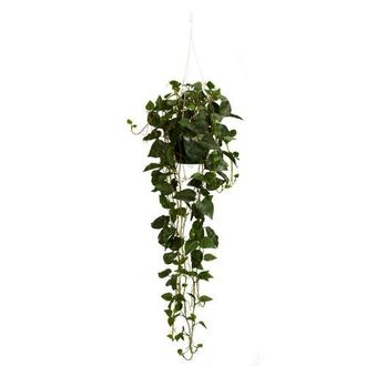Nearly Natural Philodendron Hanging Basket Artificial Plant in Green at Nordstrom