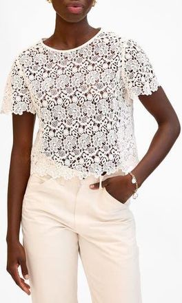 Clare Vivier LouLou Lace Cotton Top in Milk at Nordstrom Rack, Size Xx-Large