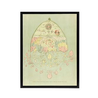 Artery8 Vintage Burmese Map of the World Griggs Framed Canvas Wall Art Print in Green | Size: W24 x H32