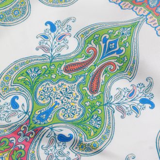 Etro Mens Scarfs _si