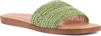 Seychelles Palms Perfection Slide Sandal in Green at Nordstrom, Size 8.5
