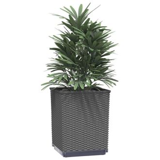 Berkfield Home Planters 4 pcs Black 30x30x37 cm Polypropylene | Size: 30 x 30 x 37 cm