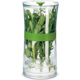 Cuisipro Original Herb Keeper Keeps Herbs Fresh Storage Container in Green at Nordstrom