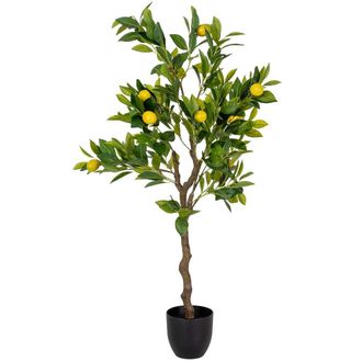 Wanderlust Deco Limonero Artificial Decorativo Verde 55x55x120