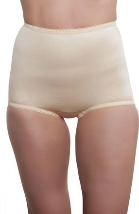 Rago Light Shaping Tummy Control Panty in Beige at Nordstrom, Size 30