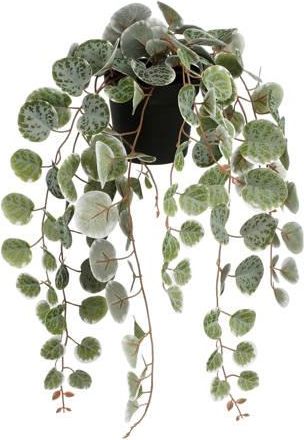 MiCa Decorations kunstplant Ceropegia Woodii hangend