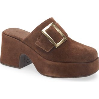Chocolat Blu Haze Platform Mule in Coffee Suede at Nordstrom, Size 7.5