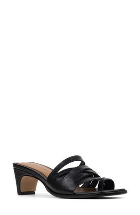 Donald J Pliner Dayvi Toe Loop Sandal in Black at Nordstrom, Size 7.5