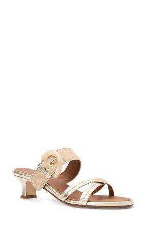 Aquatalia Bambi Weatherproof Slide Sandal in Champagne Multi at Nordstrom, Size 10.5