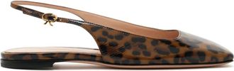 Gianvito Rossi Ballerinas, female, Brown, Size: 6 US Elegant Heeled Shoes