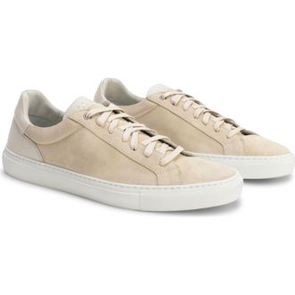 Robert Barakett Huberto Suede Low Top Sneaker in Butter at Nordstrom, Size 11.5