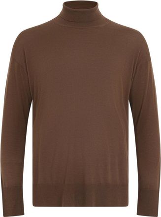 Max Mara Truien & Vesten, Dames, Bruin, L, Wol, Trui met Hoge Kraag van Wol