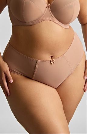 Panache Liberty Cheeky Briefs in Mocha at Nordstrom, Size 5X-Large