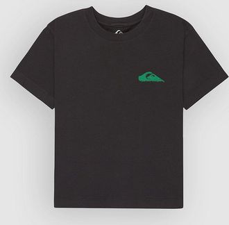 Quiksilver Standard Camiseta gris