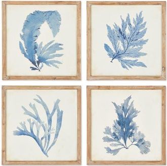 Napa Home & Garden Framed Coral Watercolor Prints Set of 4 in Blue at Nordstrom, Size Medium