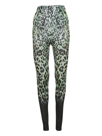 Roberto Cavalli animal-print leggings - Green