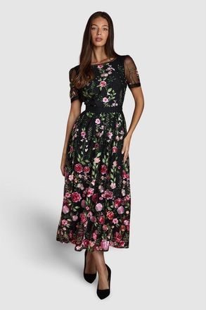 Coast Lace Trim Embroidered Mesh Midi Dress in Black at Nordstrom, Size 4