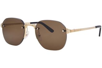 Cartier Santos de Cartier Brown Round Mens Sunglasses CT0459S 006 53