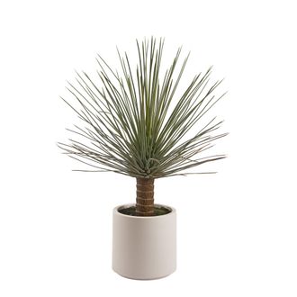 Schubiger M&ouml;bel Kunstpflanze Yucca H: 99 cm